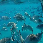 Casa de Férias Mediterrania 98 *