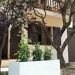 Mediterrania 98 Torroella de Montgrí