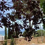Mediterrania 98 Torroella de Montgrí