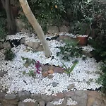 Mediterrania 98