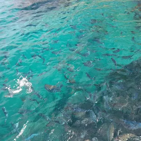 Σπίτι διακοπών Mediterrania 98 *