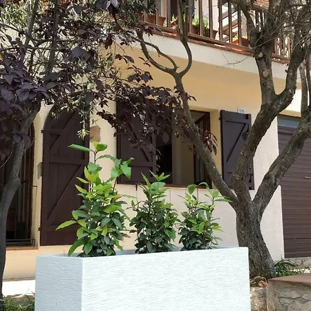 Mediterrania 98 Torroella de Montgrí