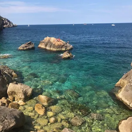 Mediterrania 98 Torroella de Montgrí