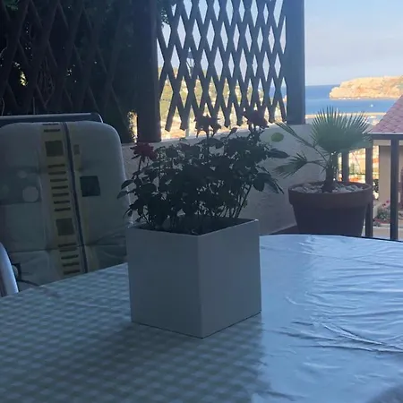 Mediterrania 98 *