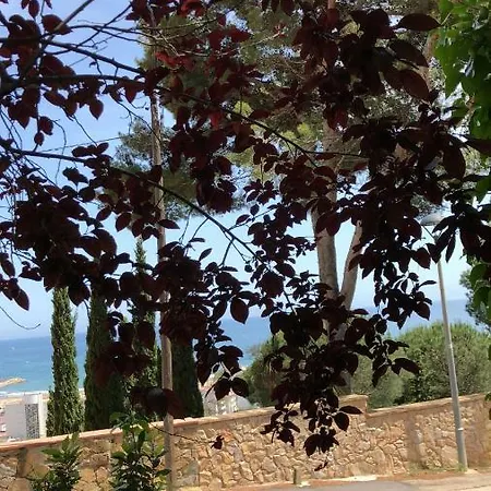 Mediterrania 98 Torroella de Montgrí
