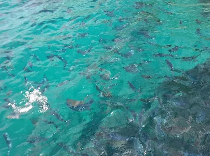 Semesterbostad Mediterrania 98 *