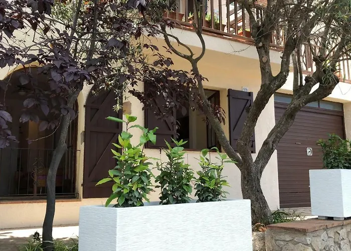 Mediterrania 98 Torroella de Montgrí