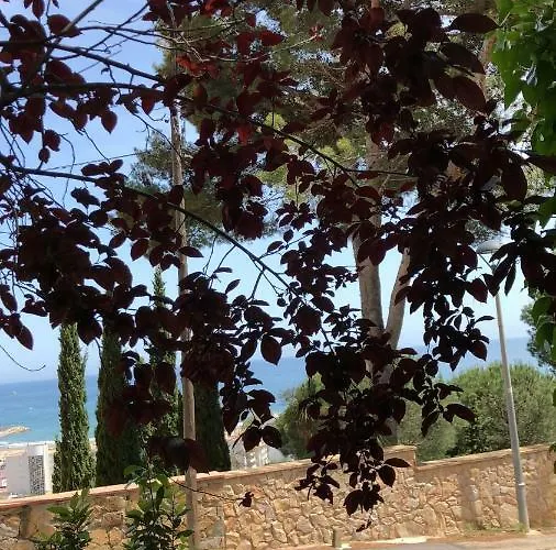 Mediterrania 98 Torroella de Montgrí