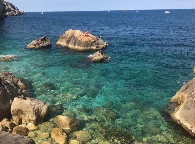 Mediterrania 98 Torroella de Montgrí